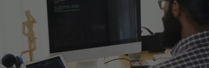 wordpress development company