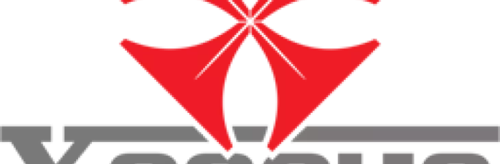 Software Application Development