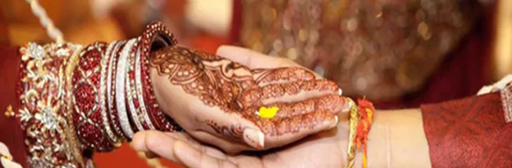 Pre Matrimonial  Investigation