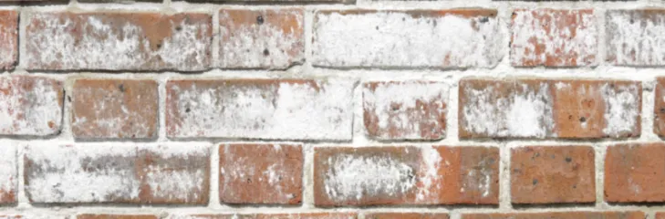 Efflorescence on Basement Walls