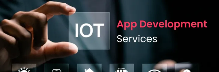iot application development