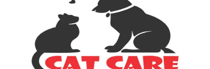 Buy Cat Litter from the Best Cat Litter Manufacturer in India