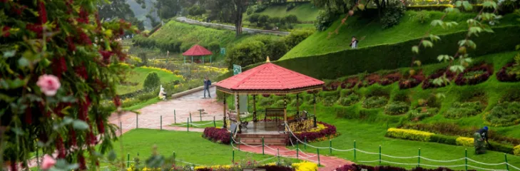 Ooty tour packages