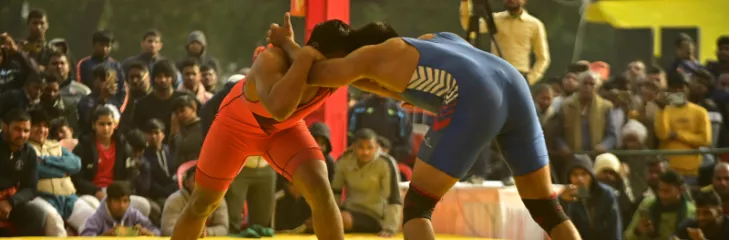 The Future of Professional Wrestling