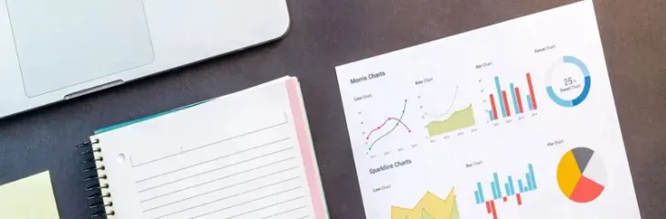 SEO Services Fort Collins