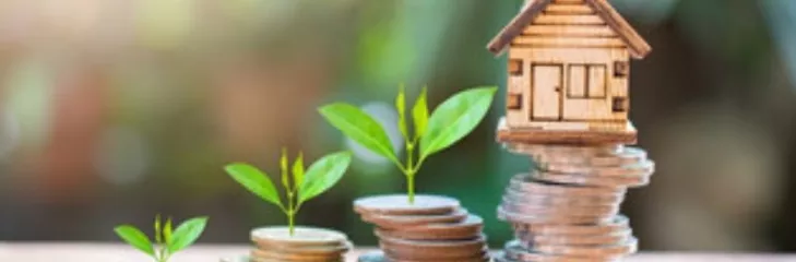 Llama Loans provide an easy way to see all your loan options