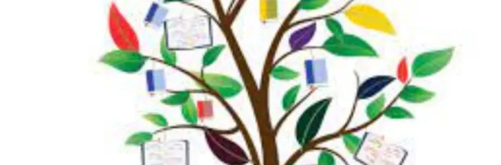 The Thought Tree Best IAS/RAS Coaching in Jaipur.