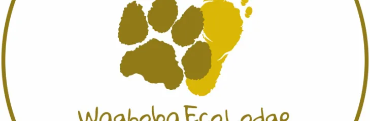 Waghoba Eco Lodge - Best Resort in Tadoba National Park