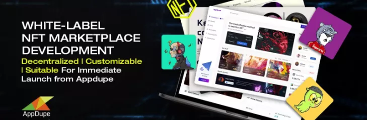 Launch an NFT marketplace