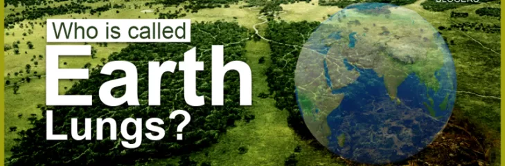 Earth Lungs