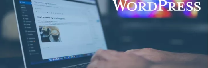 WordPress Web Developer