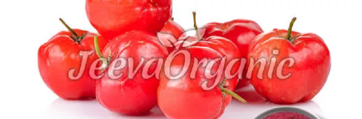 Botanical Name: Malpighia glabra Forms Available: Concentrate powder