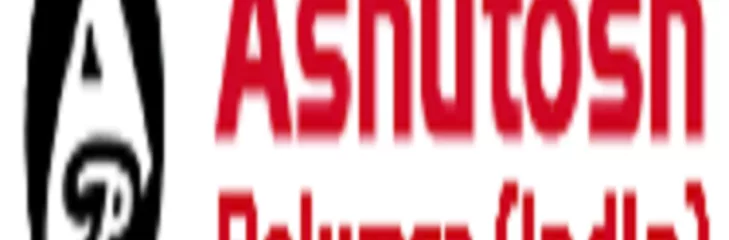 Ashutosh Polymer