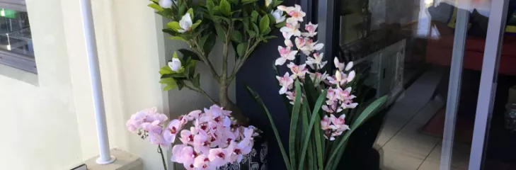 Buy Garden Planters Australia
