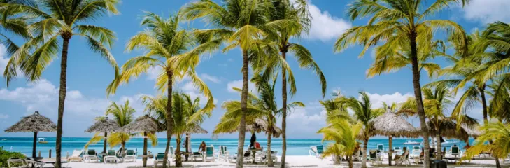 Best Car Rental Deals at Queen Beatrix Airport (AUA)