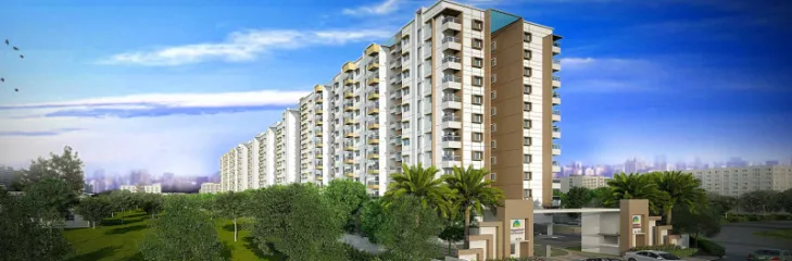 Habitat Aura