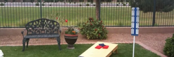 Cornhole Game BAckyard