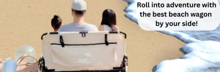 best beach wagon