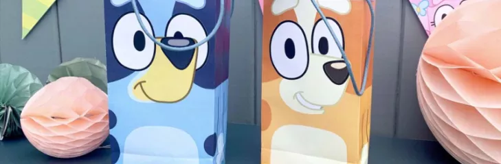 Bluey party Supplies