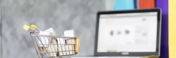 ecommerce website development