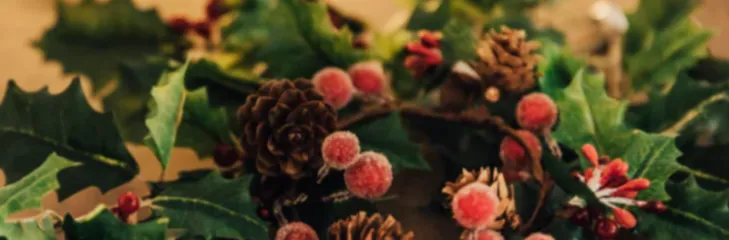 christmas dried flowers decor