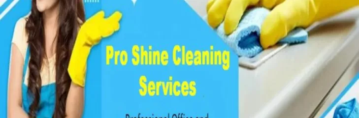 Pro Shine Cleaning Services