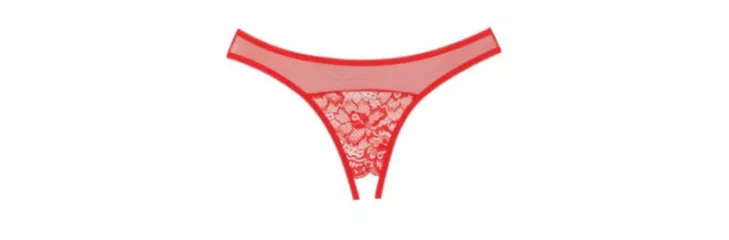 plus size lingerie