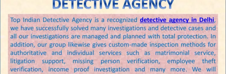 Detectives in Delhi