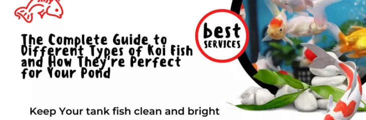 different type of koi fish