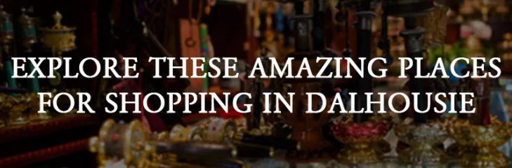 amazing shopping options