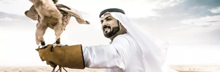 Falconry Display in Dubai