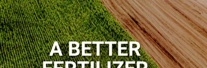Best Fertilizer with High Phosphorus