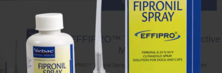 Flea medicine for cats - Effipro