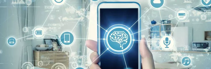 Web, Mobile App Development