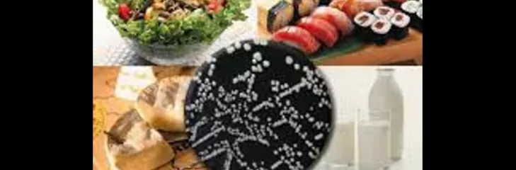 Best Listeria Lawyer in Houston