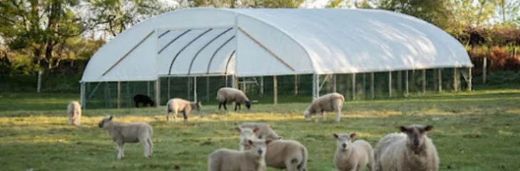 Livestock Housing - Cheviot Sheep Tunnel | McGregor Agri