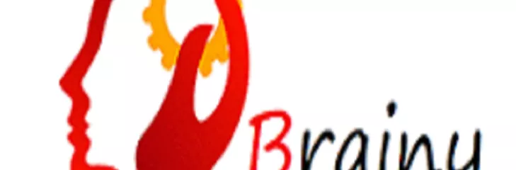 Brainytoys