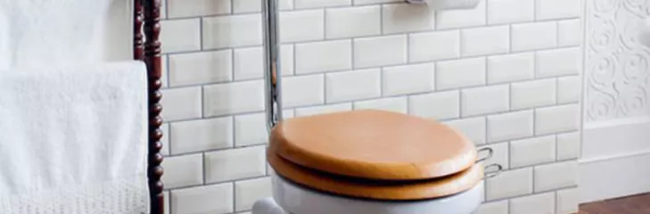 Burlington Low Level toilets online