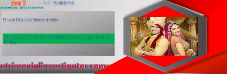 detective in delhi