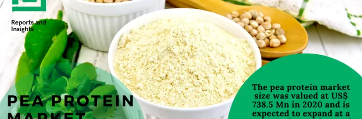pea protein market research report