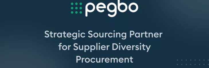 Supplier Diversity