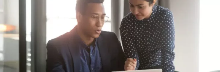 project execution