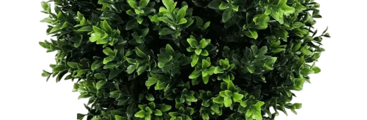 Elevate Your Indoor Gardening With Indoor Plant Pots