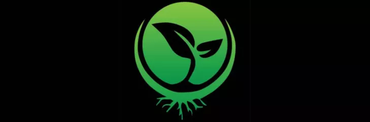 Seeds Here Now