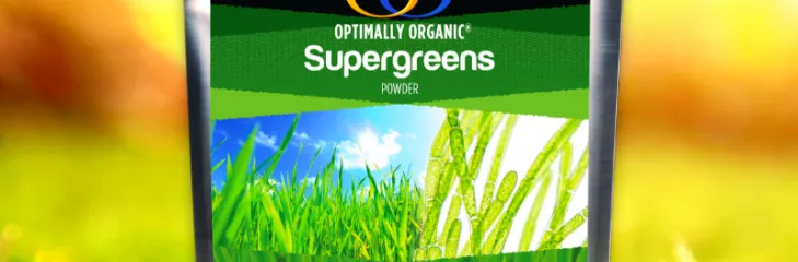 Organic SuperGreens Powder