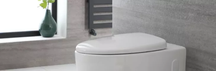 Wall mounted toilet