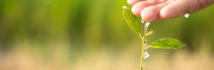 watering-soil-image