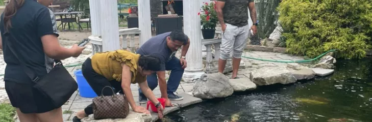 Build a Koi Pond