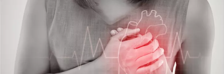 Why are women's hearts more vulnerable?