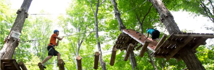 Fun for Everyone: Exploring the Variety of Recreational Facilities Available